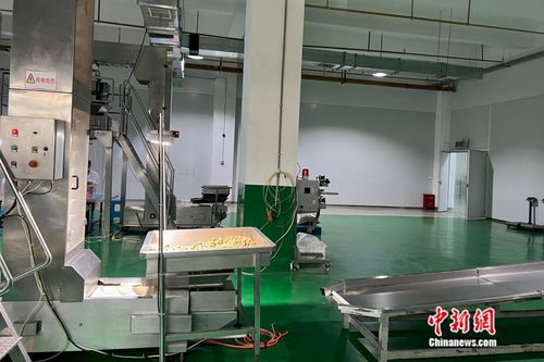 萬千氣象看云南丨從一顆核桃開始，在西南邊陲探索“一縣一業”熱能產品研發