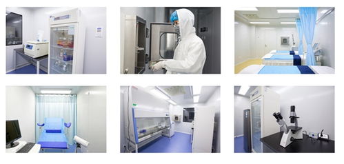 史迪姆科技 功能性干細胞衍生系列產(chǎn)品研發(fā)與制造新突破