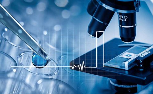 致力美好創(chuàng)造 華絲蘭，一家正在崛起的國貨新星